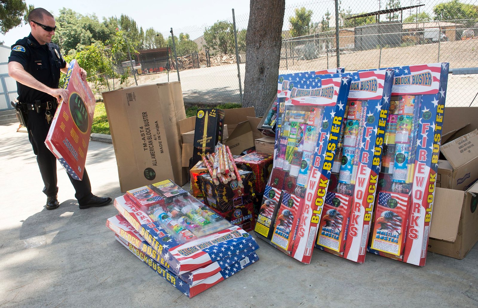 Illegal Fireworks Impact Survey Lake Balboa Neighborhood Council